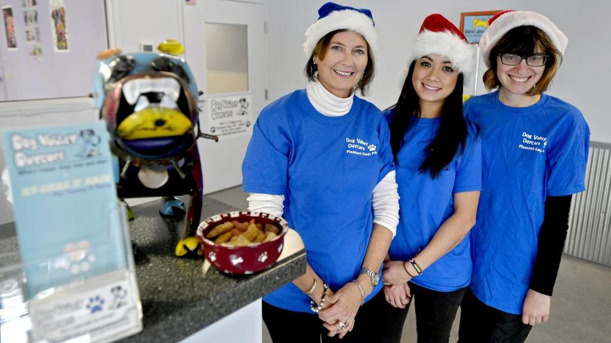 Nancy Sommer, left, poses in the lobby of Dog Valley Daycare with field manager and K9 Care N’ Hair owner Chelsy Hudson and groomer Chelsea McCartney.