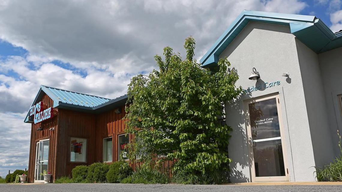 Guided Care more than meats the eye