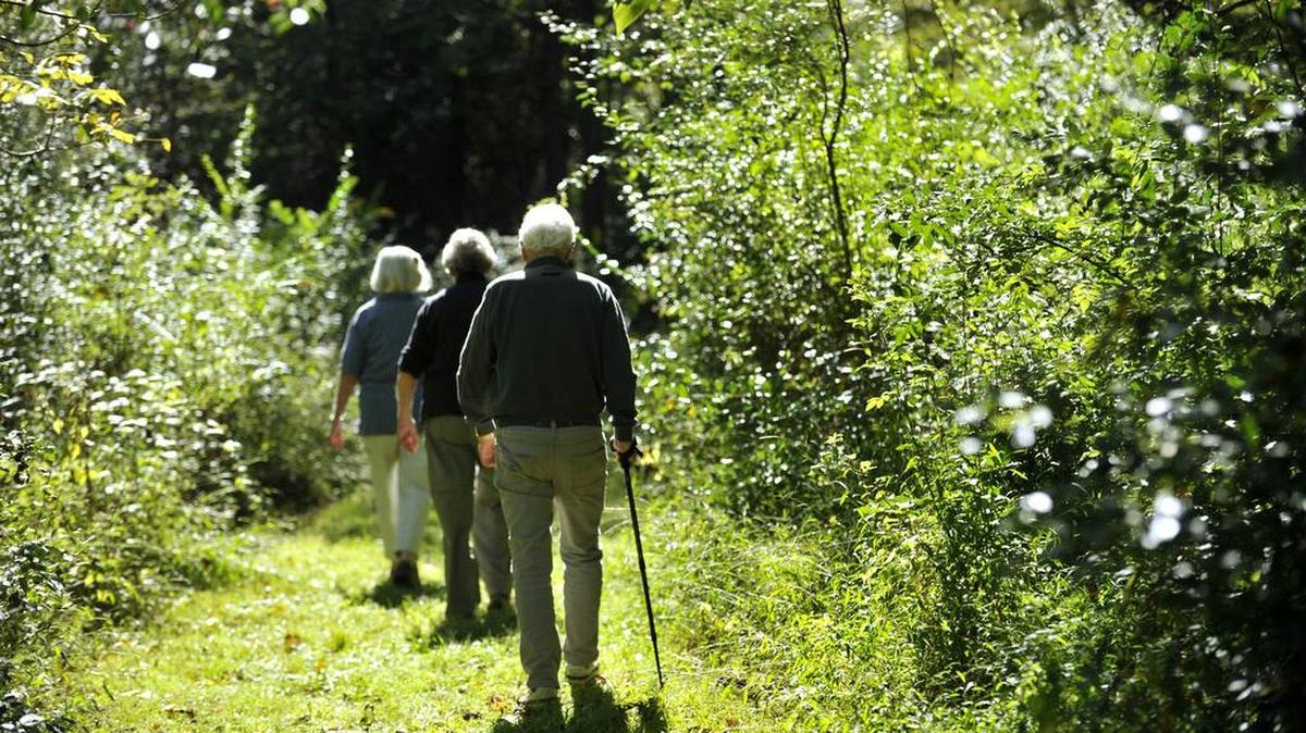 Seniors with the Centre Region Senior Center hiking group walk around the lake at Bald Eagle State Park in September.