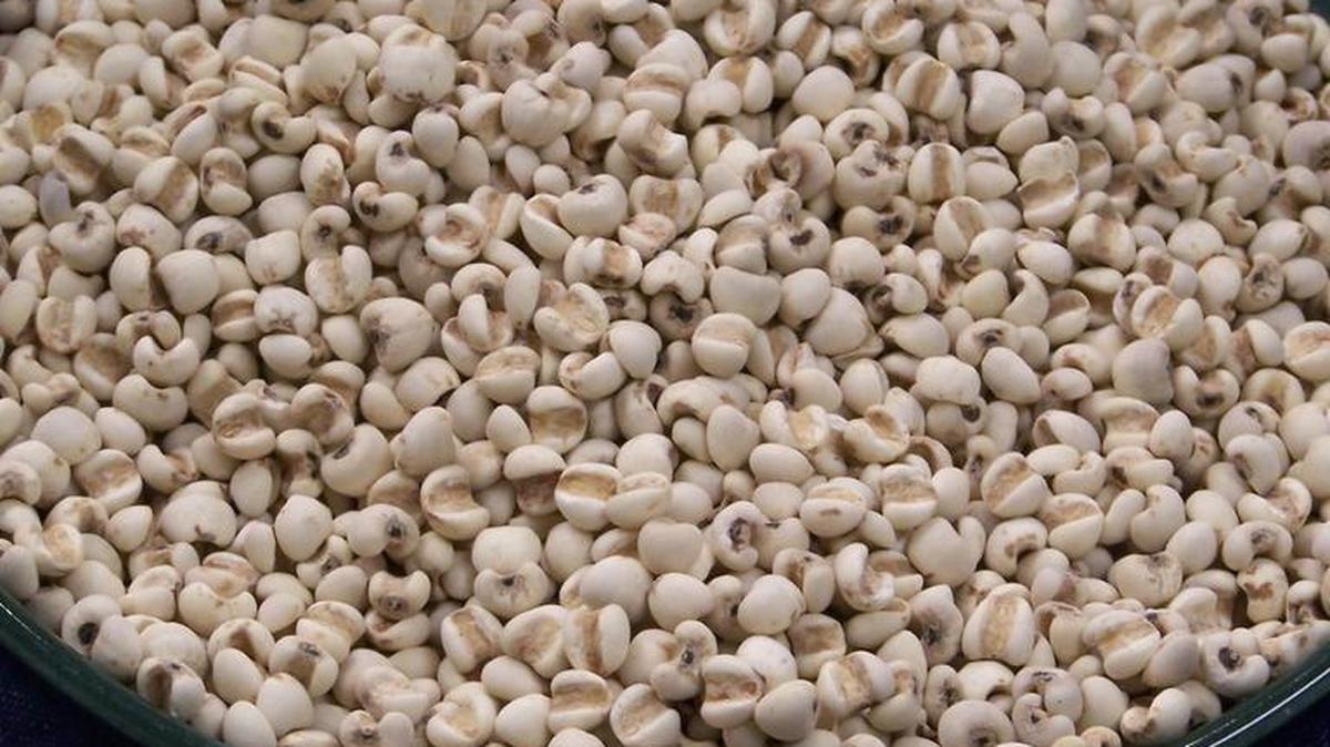 Job’s tears, a cereal plant native to southeast Asia, is found in upscale grocery stores, natural food stores and Asian grocery stores.
