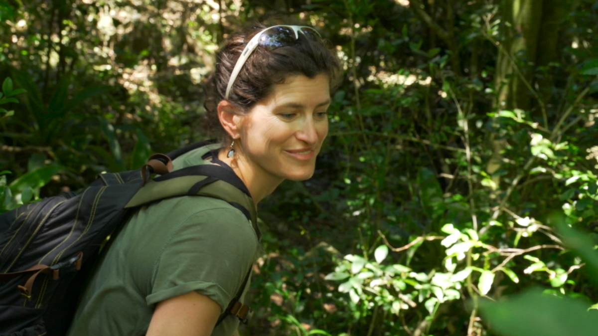 Erica Smithwick is an ecologist and associate professor of geography whose work has taken her around the world.