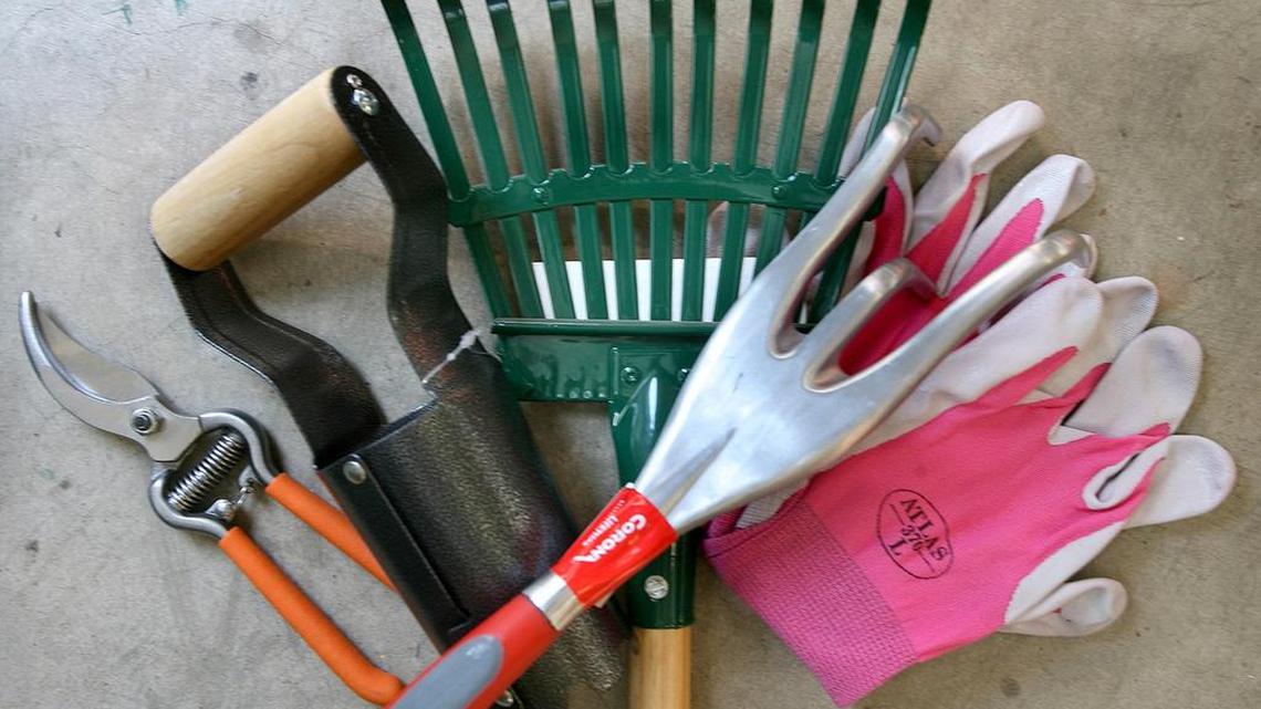 Planting bulbs for spring color