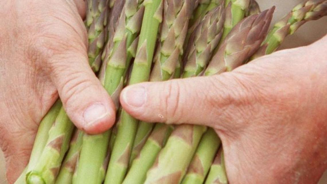 Over the garden fence: ‘The Cadillac of vegetables’