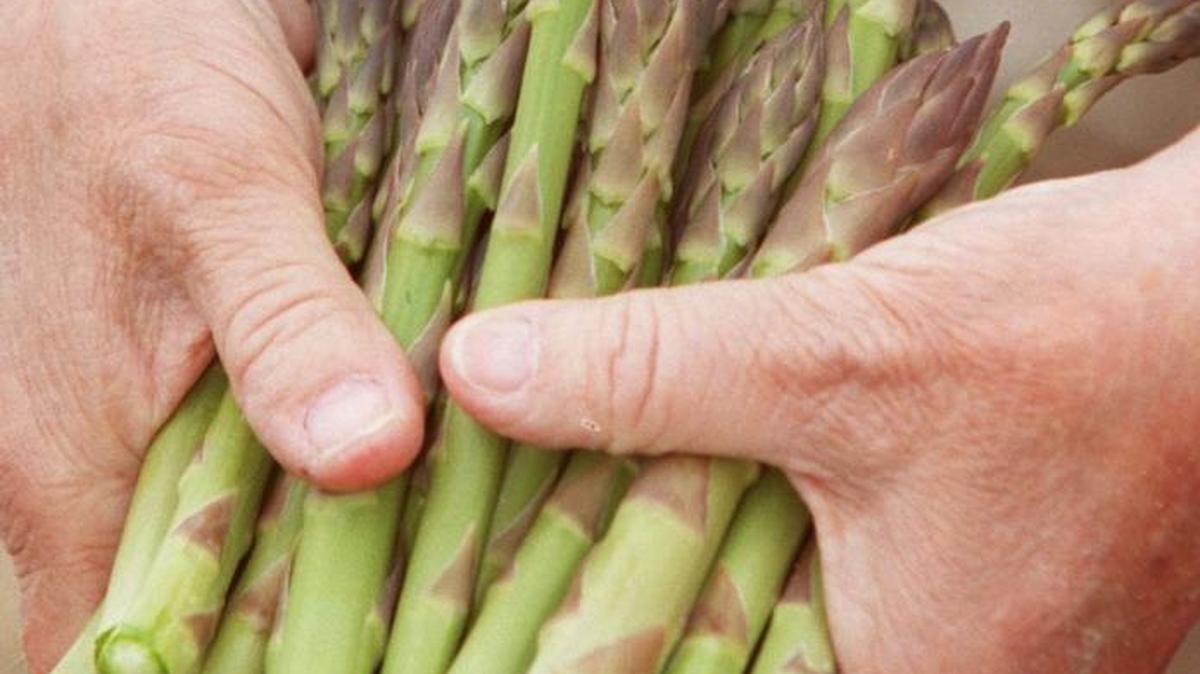 Asparagus is low in calories and high in vitamins and and fiber.