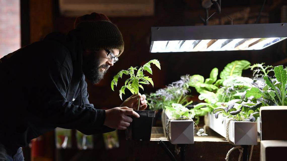 Eat what you grow: Vegetable gardens can start now