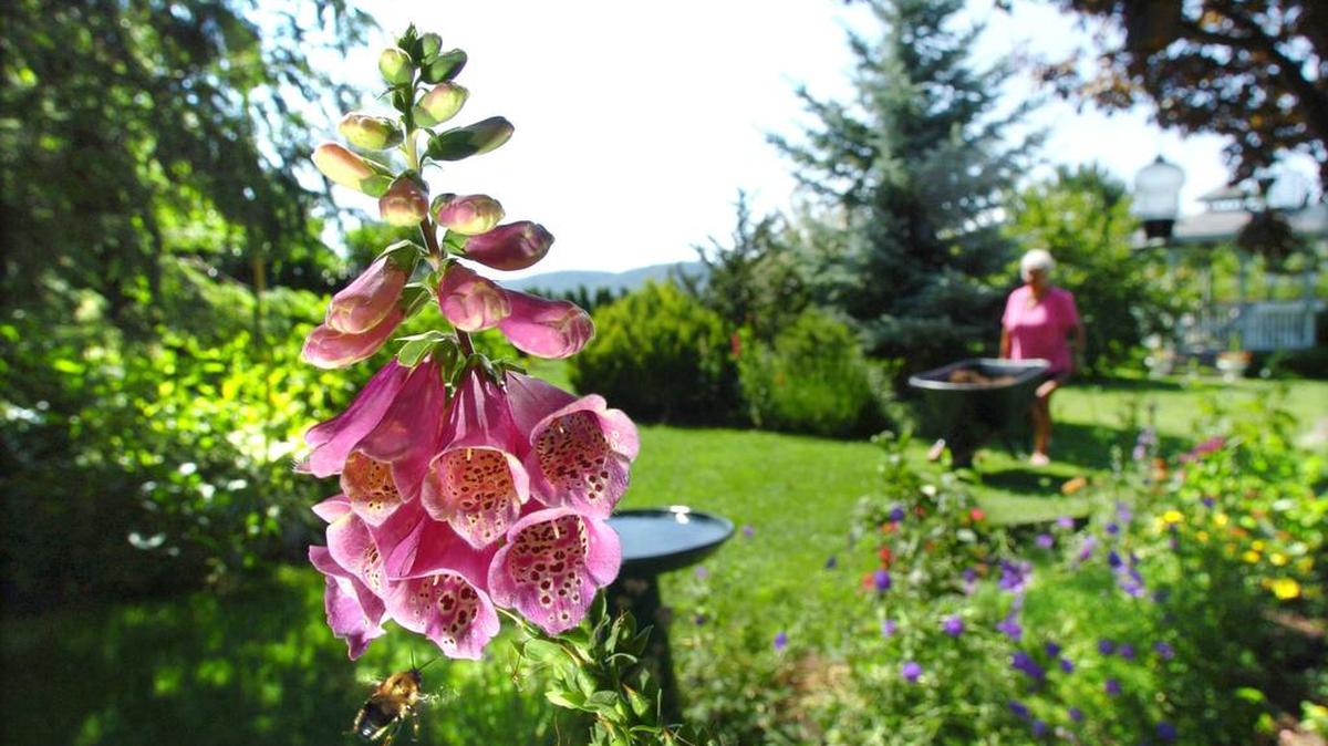 New homeowners have to decide how they want to utilize their yard.
