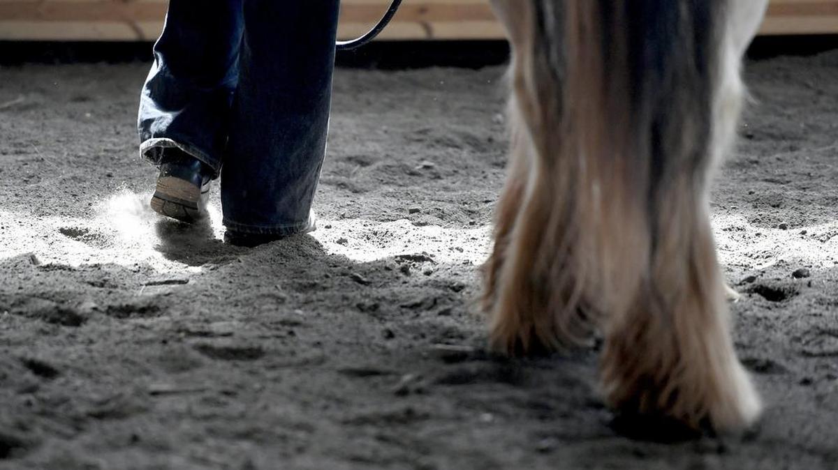 Veteran Frank Haffly walks with Dakota during a session Tuesday at Rising Hope Therapeutic Riding Center in Bellefonte.