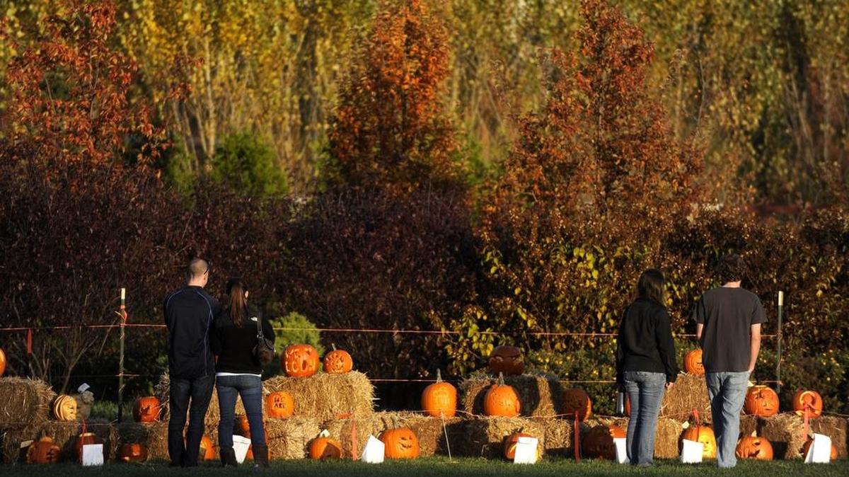 An annual Pumpkin Festival is part of The Arboretum at Penn State’s celebration of the fall season.