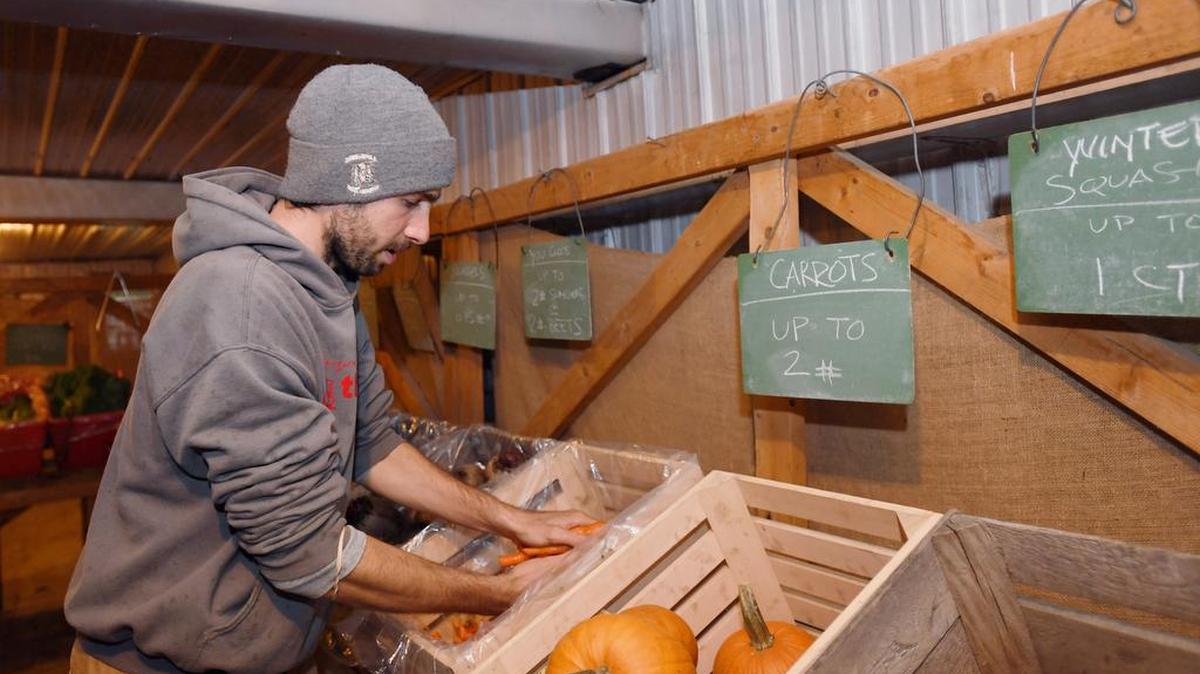 Alessandro Ascherio picks out produce to pack up a crate for a customer during the weekly CSA on Tuesday at Tait Farm.