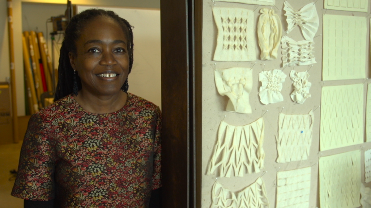 Felecia Davis is the director of SOFTLAB, a research group based out of the Stuckeman School at Penn State.