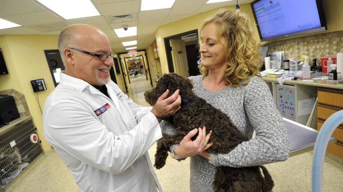 Fred Metzger checks out one of dogs in his care while Maureen Casey holds the pet on Feb. 17.