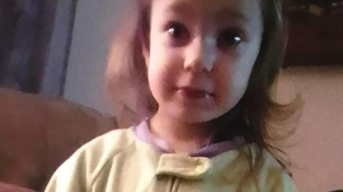 State police have issued an Amber Alert for a 2-year-old girl named Alexis Weber.