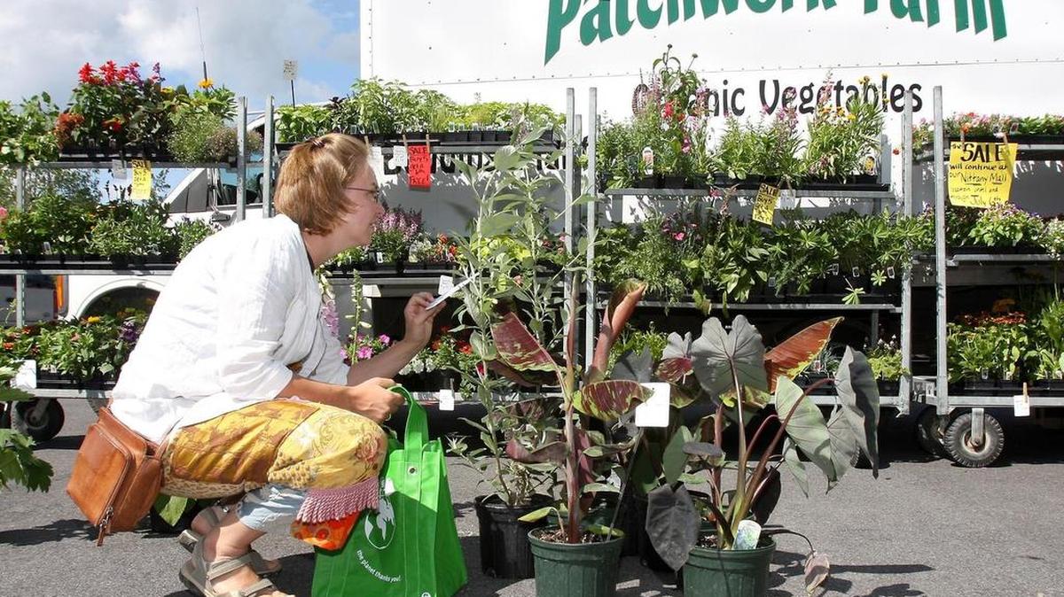 Patchwork Farm and Greenhouse, based in Aaronsburg, celebrates its 25th anniversary of setting up a greenhouse in State College this year. Its 387 Benner Pike location opened on April 25 and runs until July 3.