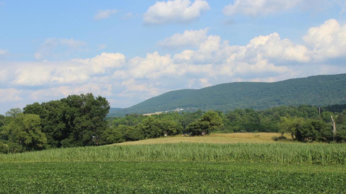 ClearWater Conservancy is embarking on an initiative to conserve more than 300 acres of agricultural land, including Meyer Dairy’s property and Everhart Farm.