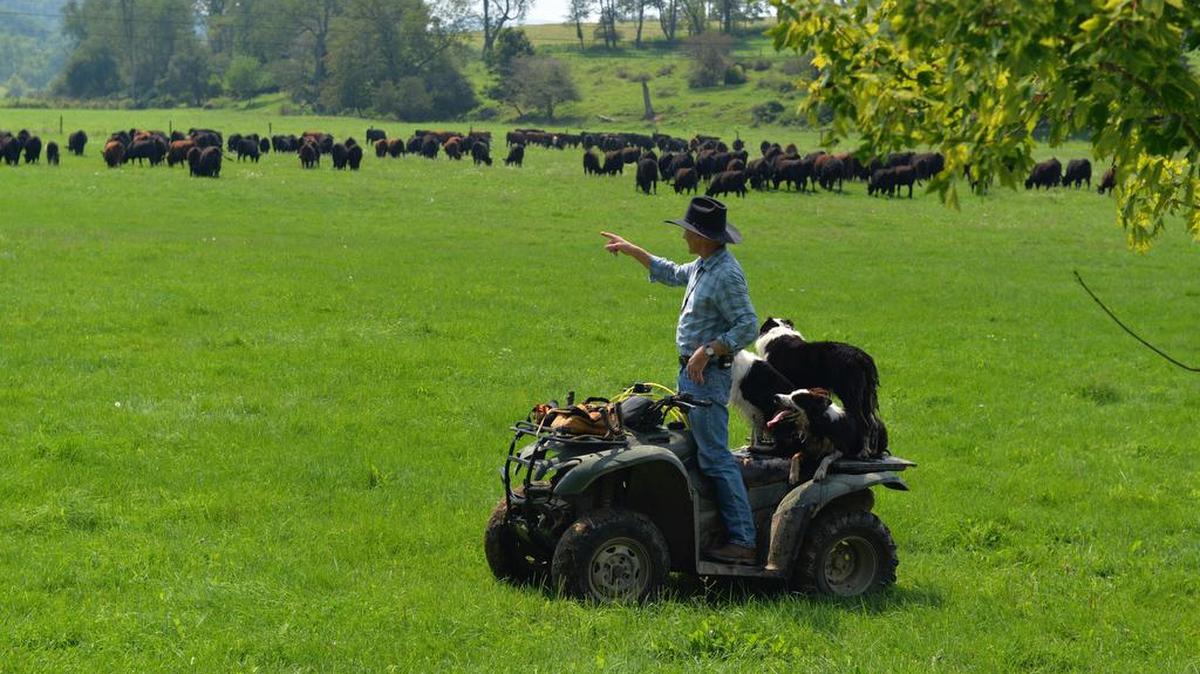 George Lake, owner of Thistle Creek Farms, will give the keynote speech at “Forage-Based Beef,” a Penn State Extension Series event on Saturday. The event will be held from 8:30 a.m. to 3 p.m. at Mountoursville Presbyterian Church at 900 Elm St., Mountoursville.