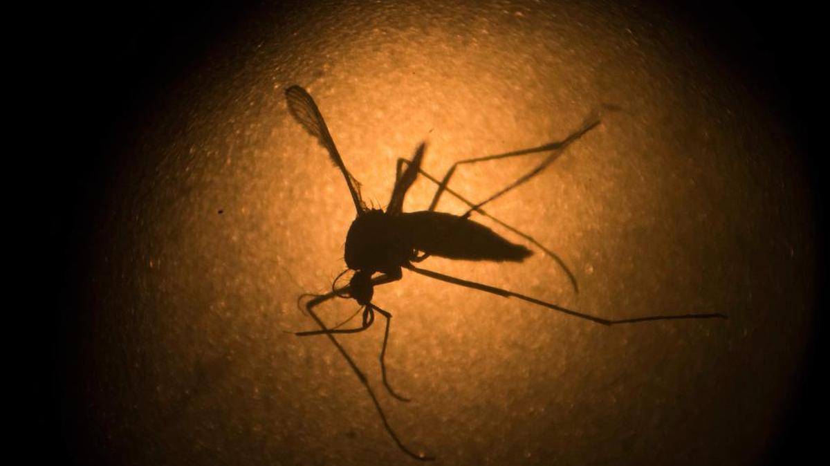 On Thursday, the Pennsylvania Department of Health announced the first sexually transmitted case of Zika in the Keystone State.