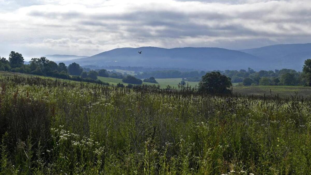 The land where the Toll Bros. development is proposed to go along West Whitehall Road in Ferguson Township. The Pennsylvania Supreme Court on Wednesday issued an order denying a petition for allowance of appeal from 15 plaintiffs seeking to stop the Toll Brothers’ proposed student housing development.