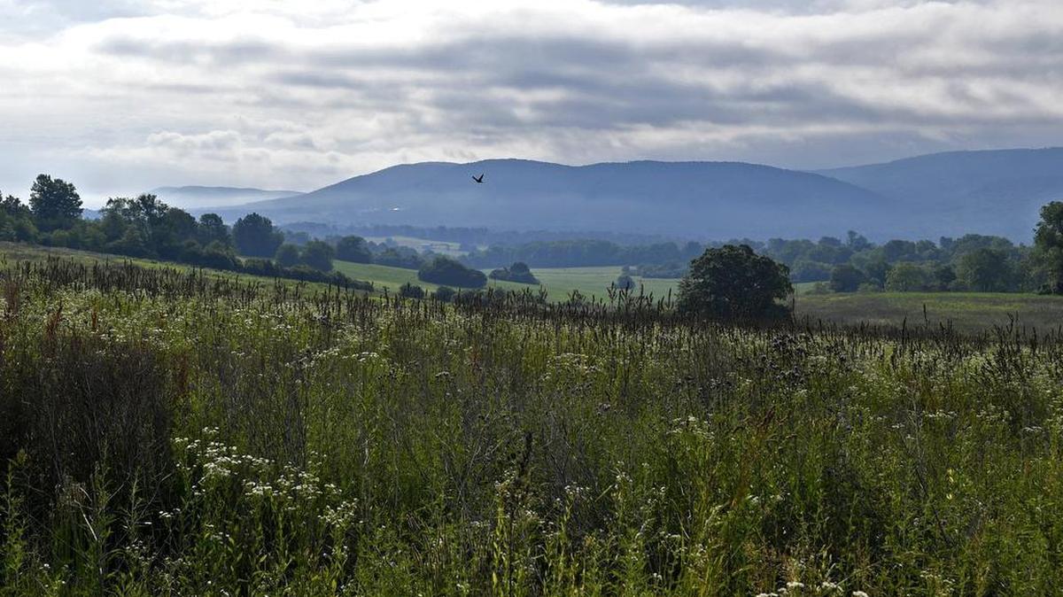 The land where the Toll Brothers development is proposed to go along Whitehall Road in Ferguson Township. The Commonwealth Court of Pennsylvania on Wednesday vacated a decision by county Judge Jonathan D. Grine regarding the development.