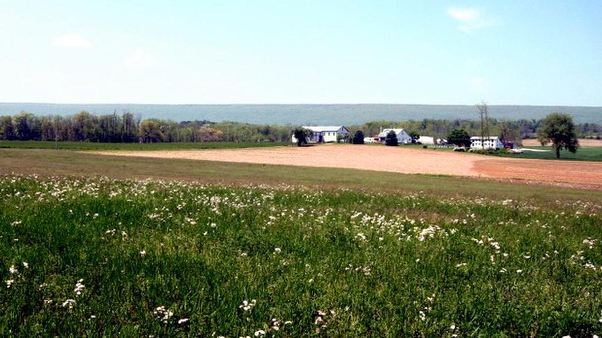 The Centre County Farmland Trust recently announced the donation of a conservation easement from the Rossman family on their 84-acre property in Potter Township.