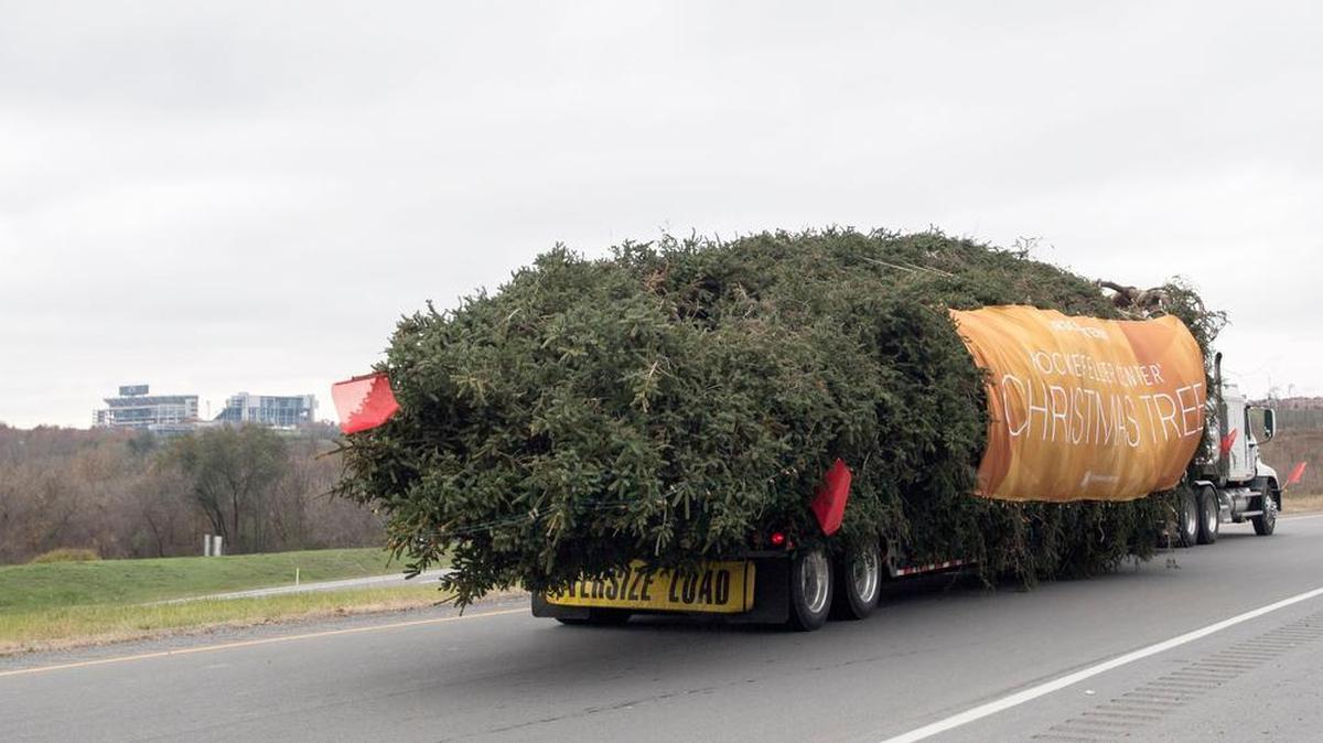 With a banner and a strand of holiday lights, the 75-foot Norway spruce heads onto U.S. Route 322 on its way to New York City’s Rockefeller Center on Thursday, November 9, 2017. Eric Porterfield is working on a documentary about the tree’s journey from State College.