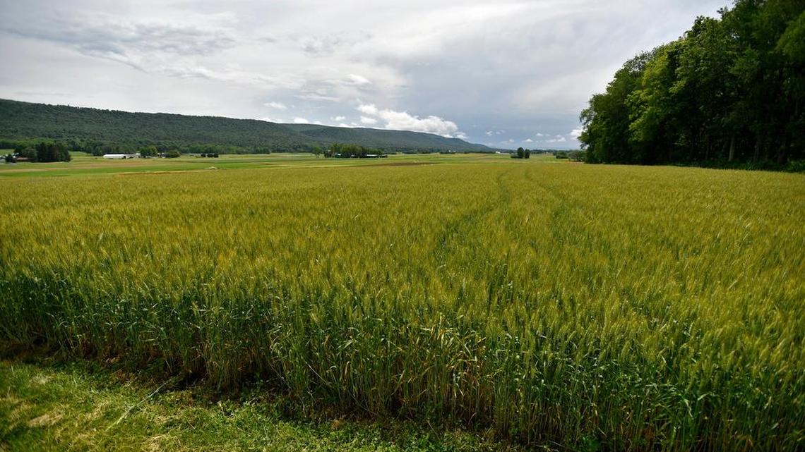 Natural Resources Conservation Service’s Regional Conservation Partnership Program will fund a project in Pennsylvania to improve soil health and reduce water pollution on farms in Clinton, Centre and Lycoming counties.