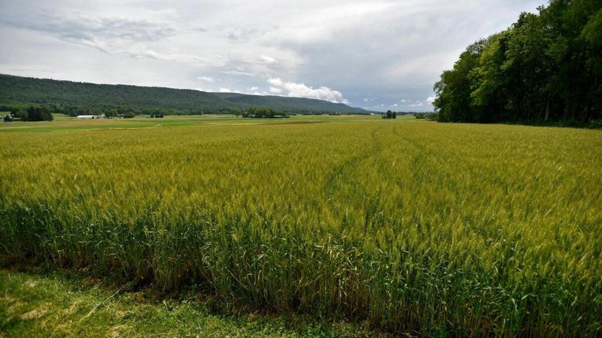 Natural Resources Conservation Service’s Regional Conservation Partnership Program will fund a project in Pennsylvania to improve soil health and reduce water pollution on farms in Clinton, Centre and Lycoming counties.