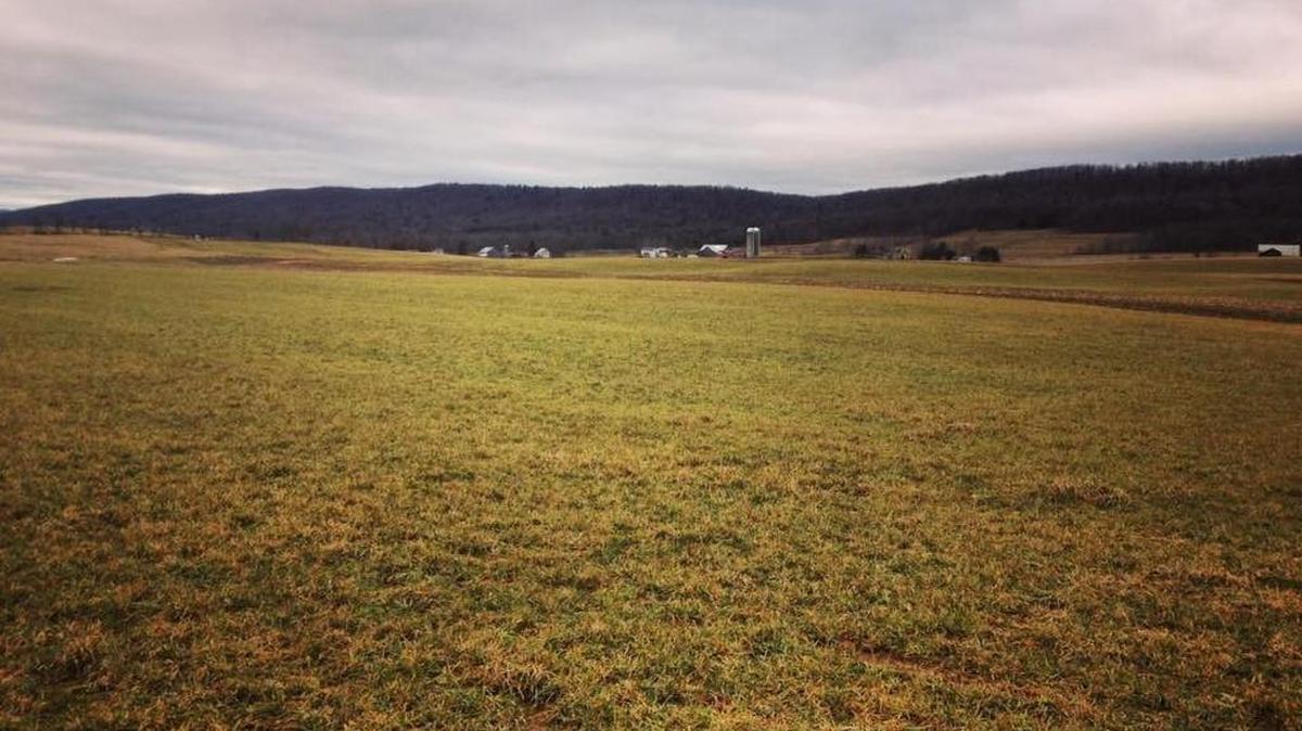 The Municipal Partnership Program received just more than $260,000 last week to purchase an easement on 225 acres of the 600-acre Thomson family farm, owned by Dennis and Joan Thomson. The remaining 375 acres will be protected with a permanent conservation easement that will be donated by the Thomson family to the Western Pennsylvania Conservancy.