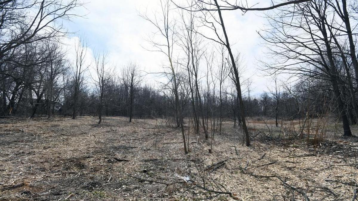 A new park that is being built in Ferguson Township off of Owens Drive.