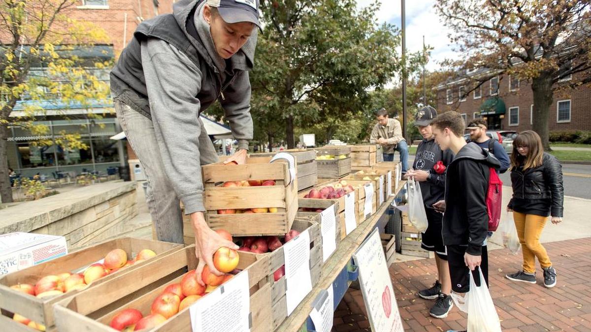 Austin Kirt refills crates full of apples at the Student Farm Club and Penn State Horticulture apple celebration on Thursday, October 26, 2017. Over a dozen different kinds of apples were available.