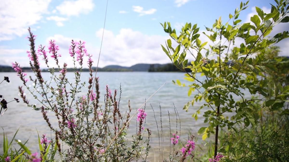A public meeting will be held at 7 p.m. Wednesday at the Bald Eagle Area High School auditorium, 751 S. Eagle Valley Road, Wingate, regarding an upcoming feasibility study for Foster J. Sayers Dam and Reservoir in Howard.