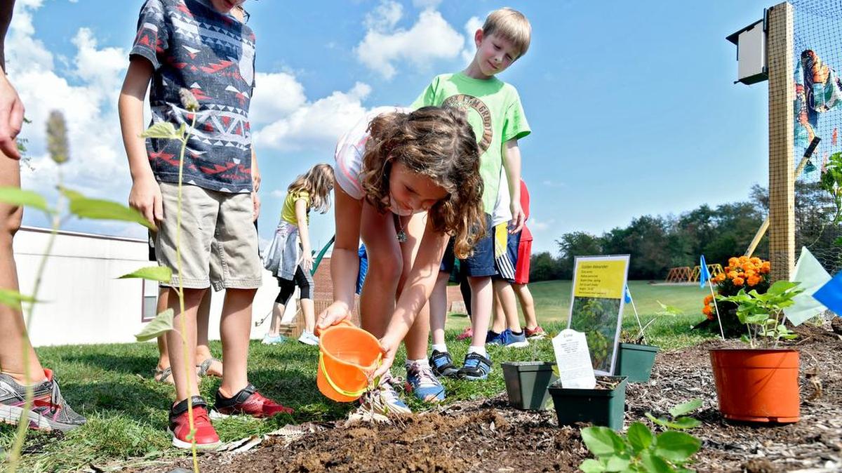 Benner Elementary School students plant a pollinator garden in 2017.