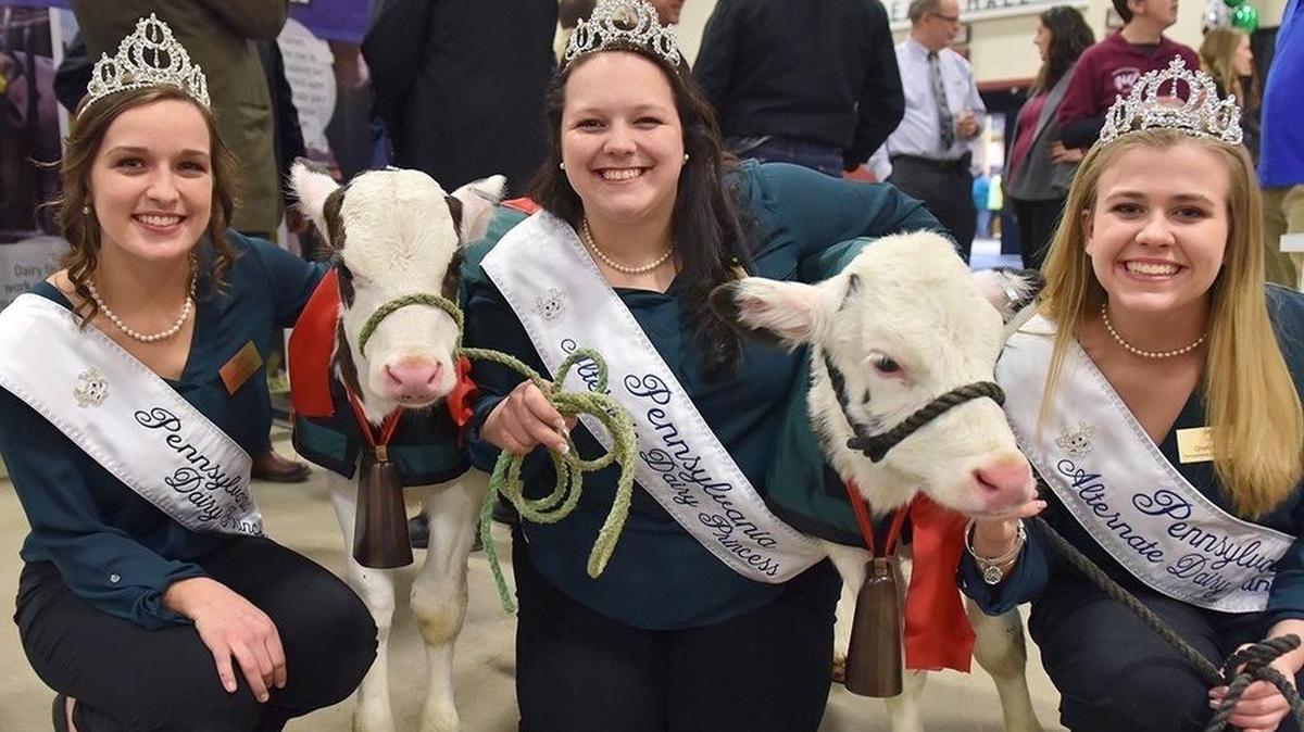 State Dairy Princesses (from left) Yvonne Longenecker of Blair County, Casandra Blickley of Chester County and Gretchen Little of Centre County pose with three-week old newborn calves “Fill” and “Hope” as dairy industry leaders joined today to announce the Calving Corner, a cow birthing center exhibit debuting at the PA Farm Show.