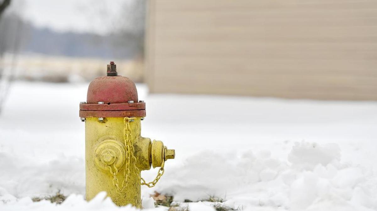 A fire hydrant with a red top is pictured on Horseshoe Circle on Saturday.