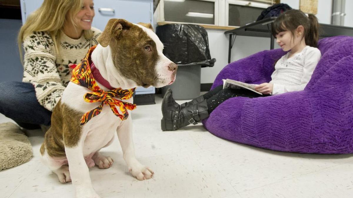 Yukon Cornelius, a pit bull, listens to Beatrix Monroe, 7, read to him at Radio Park Elementary on Friday. The event, which brought in several dogs from Centre County PAWS, raised money to buy books for children who can’t afford them.