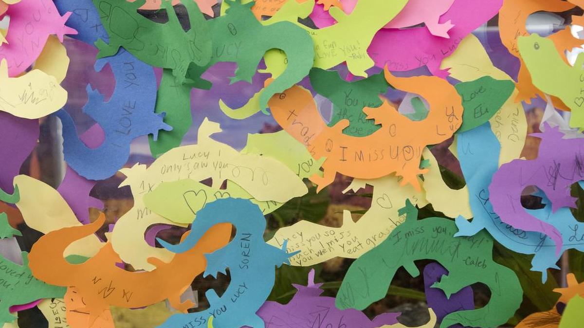 Lucy the leopard gecko in the children’s section at Schlow Centre Region Library died recently and children have been leaving notes for her and learning how to grieve.
