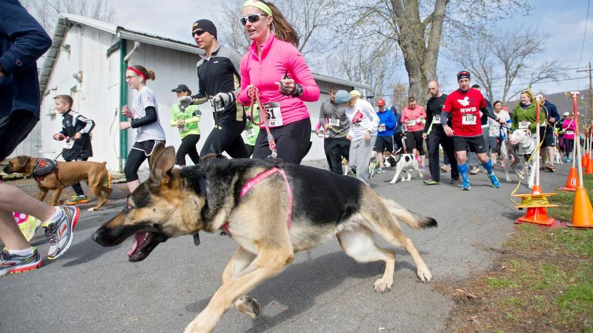 The 8th annual Dog Jog will take place April 30 at the Grange Fairgrounds.