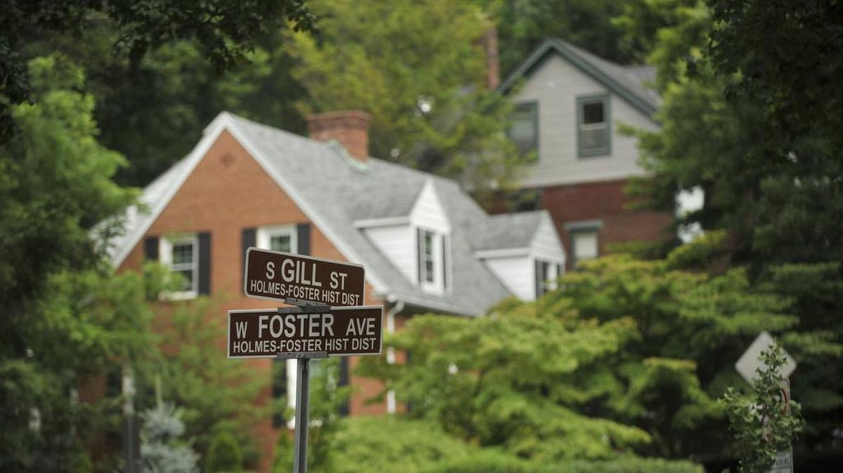State College Borough Council held a public hearing Monday night on an ordinance that would create a Historical and Architectural Review Board. A HARB would oversee regulated activities within the Holmes Foster/Highlands and College Heights historic districts.