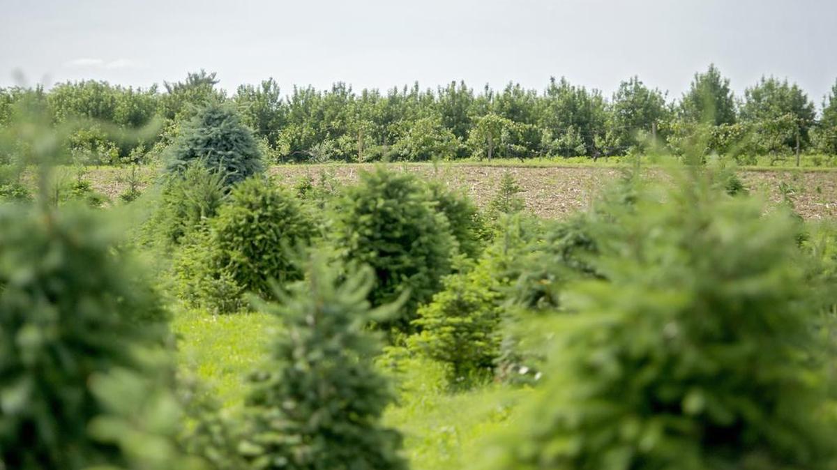 On Monday night, the Ferguson Township Board of Supervisors was presented with a rezoning request from Aspen Whitehall Partners LLC to acquire the 71.9 of Harner Farms’ 102 acres that are for sale.
