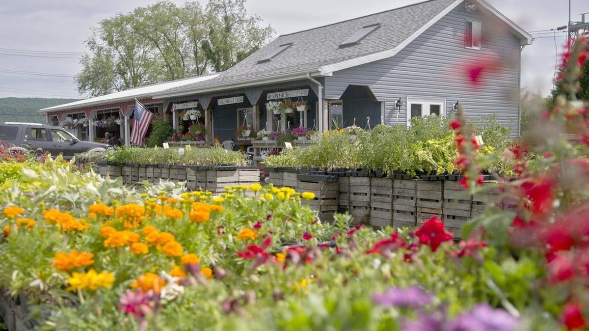 Harner Farm plans to sell 72 of its 102 acres.
