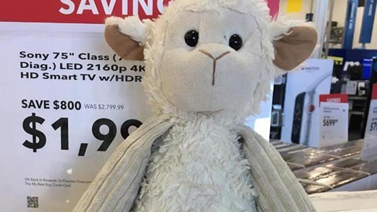 Someone left “Lamchop,” a stuffed animal, at Best Buy in State College. The community is trying to help it find its way home.