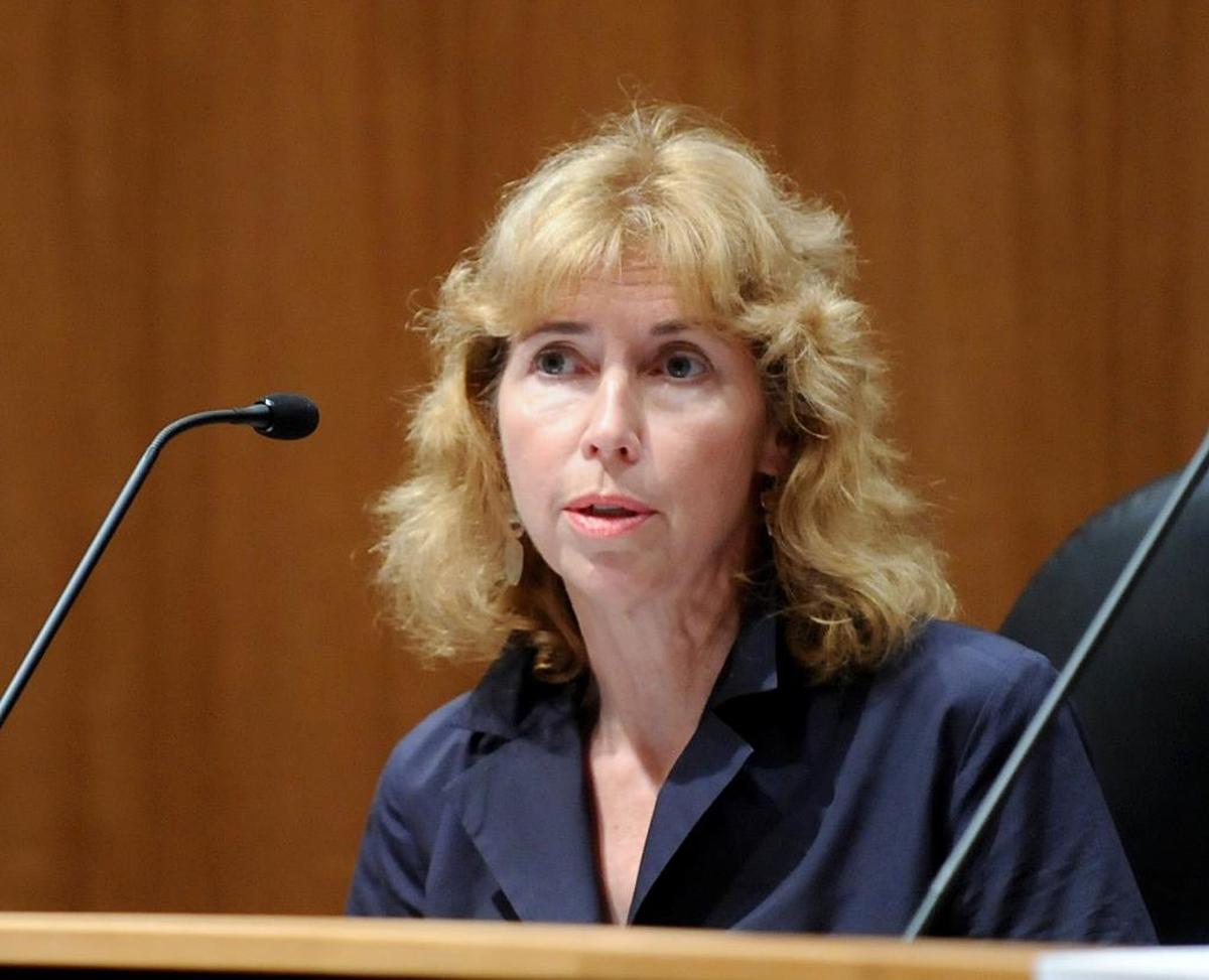 State College Borough Councilwoman Catherine Dauler proposed a list of controversial guidelines to appoint the interim mayor.