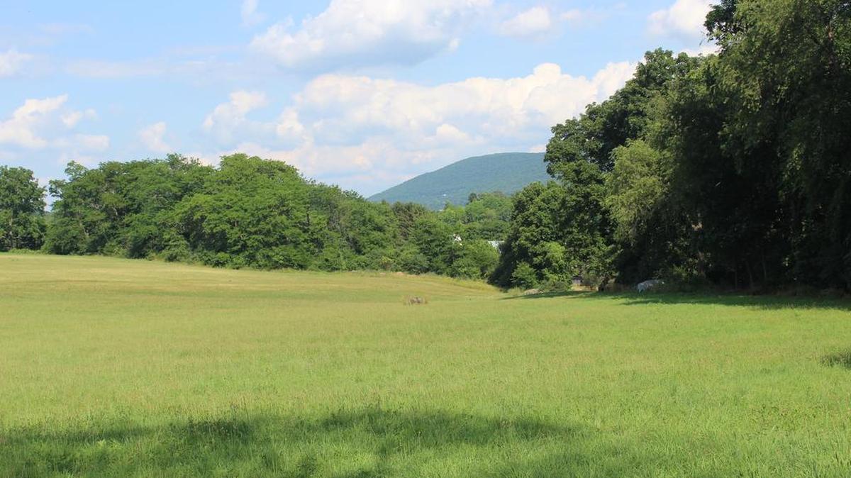 ClearWater Conservancy aims to conserve more than 300 acres of agricultural land, including Meyer Dairy’s property and Everhart Farm. The group on Monday requested $150,000 form Ferguson Township toward its Slab Cabin Run initiative.
