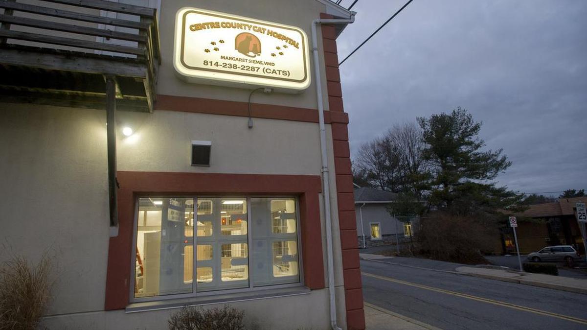 Centre County Cat Hospital with VMD Margaret Siems is opening on Cherry Lane in State College.