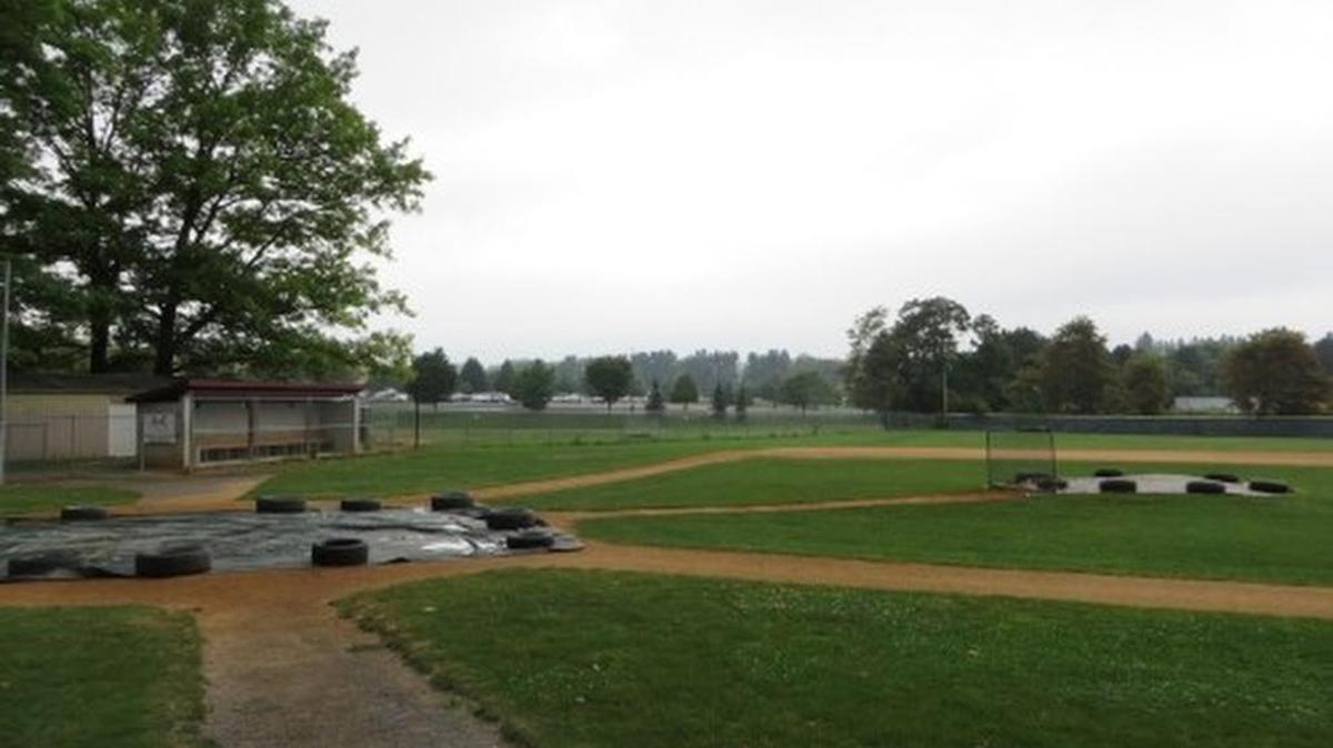 The Ferguson Township Board of Supervisors postponed a vote on approving the installation of artificial turf at the Louis E. Silvi Baseball Complex until it has more information about stormwater drainage and health concerns.