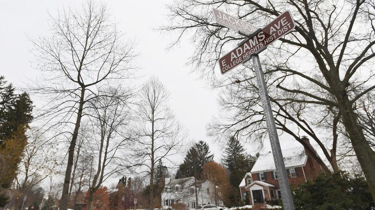 State College Borough Council on Monday voted to pass an ordinance to establish a Historical and Architectural Review Board.