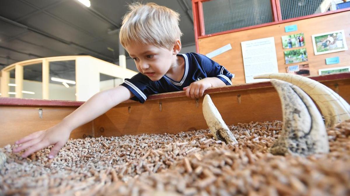 Conary McClain, 3, digs for dinosaur teeth at Discovery Space in this file photo.