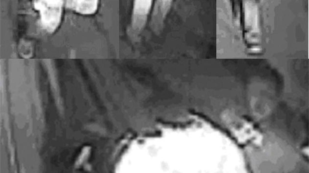 Penn State police released these photos from a September incident in downtown State College.