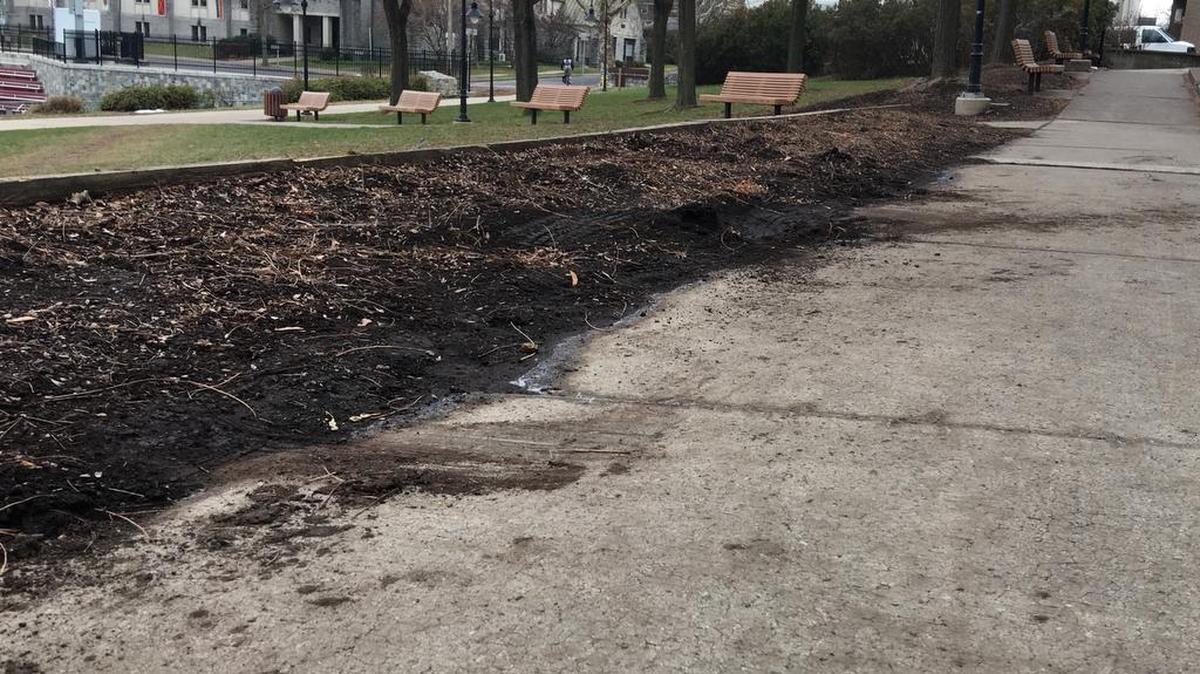 Tire tracks remain in Sydney Friedman Park in State College where police say a 22-year-old woman drove her car into the park and got stuck.
