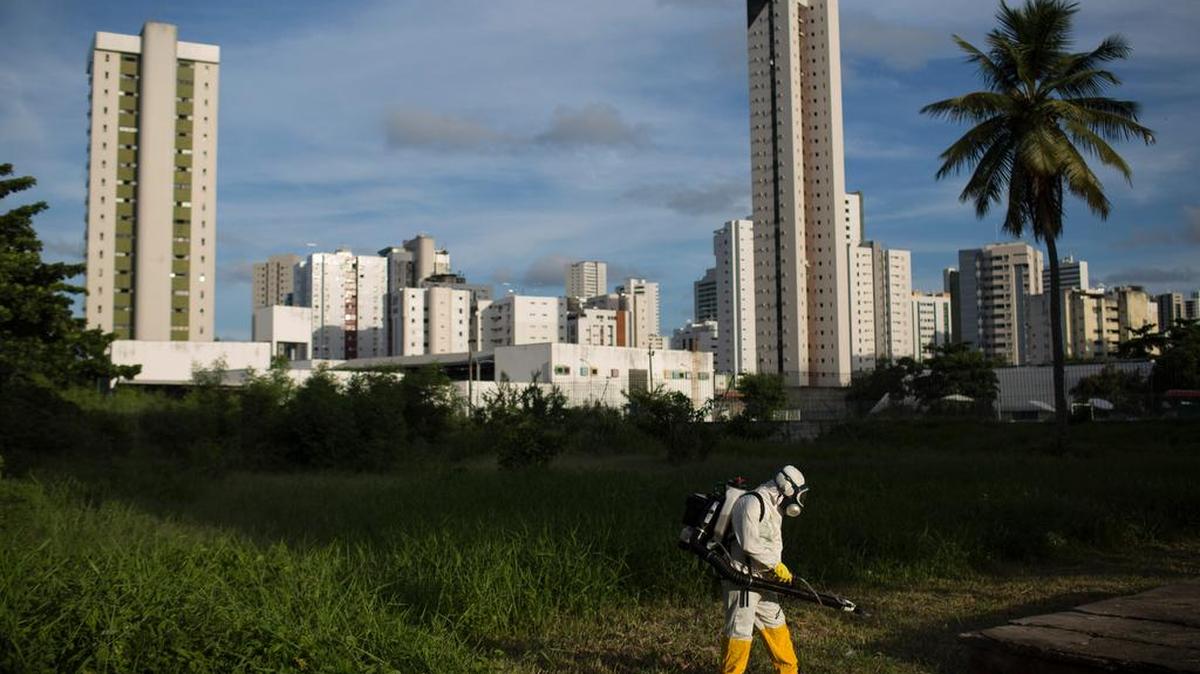 A municipal health worker sprays insecticide in an open area of a sports facility, to combat the Aedes aegypti mosquito that transmits the Zika virus, in Recife, Pernambuco state, Brazil, Thursday, Feb. 4, 2016. With no hope for a vaccine to prevent Zika in the near future, authorities are focusing on the most effective way to combat the virus: killing the mosquito that carries it.
