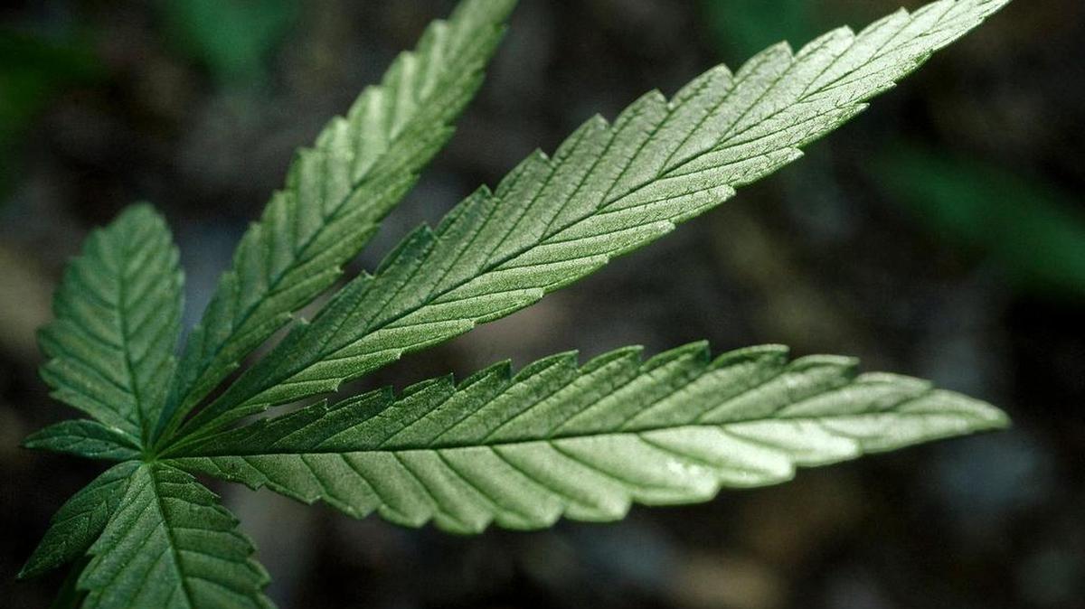On Thursday, the state Department of Health announced 27 permits for medical marijuana dispensaries in Pennsylvania.